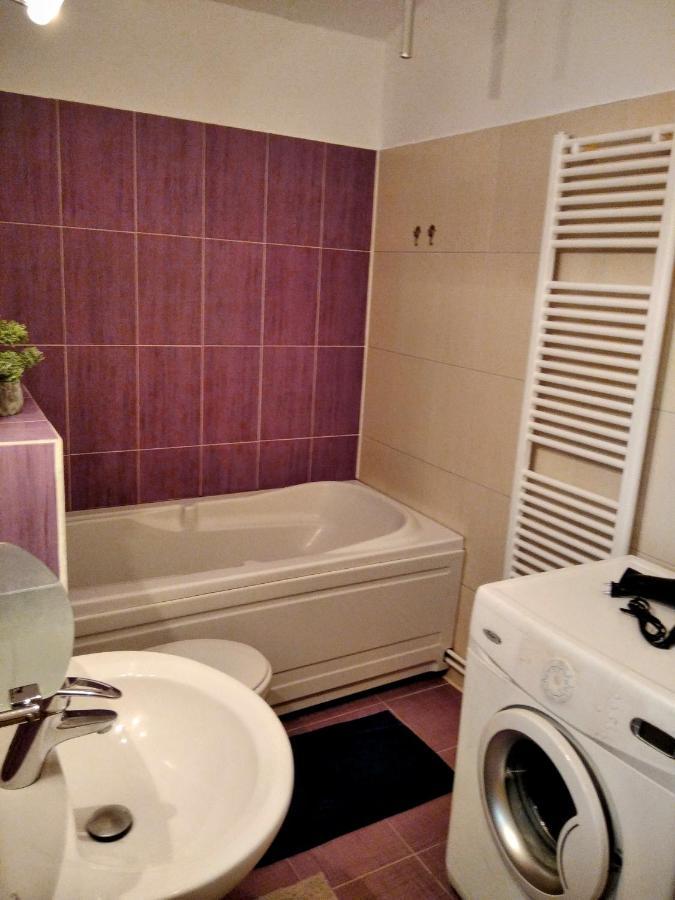 Lovely Central Apartment Braşov Dış mekan fotoğraf