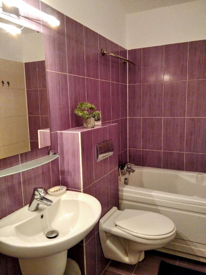 Lovely Central Apartment Braşov Dış mekan fotoğraf