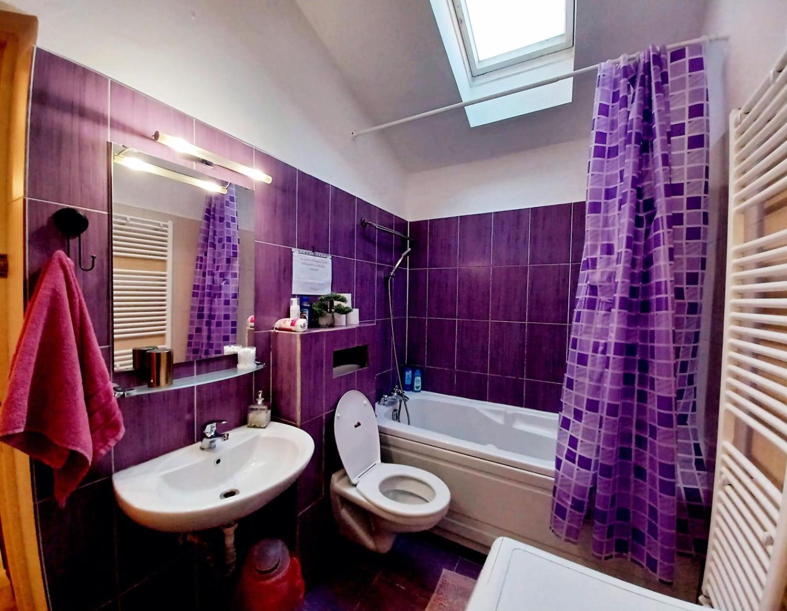 Lovely Central Apartment Braşov Dış mekan fotoğraf